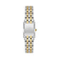 Daniel Klein Premium Green Dial Analogue Watch